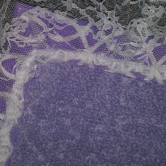 Elders Collection - Picture 15 of 16